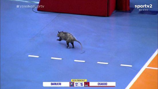 Reprodução/SporTV