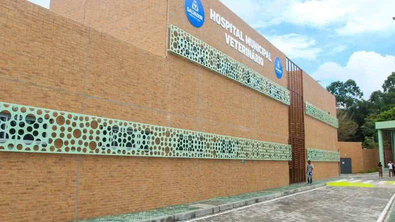 Domingos Júnior/ BNews