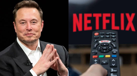 Reprodução/ MAXSHOT.PL/Shutterstock