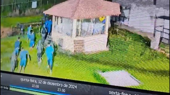 Reprodução