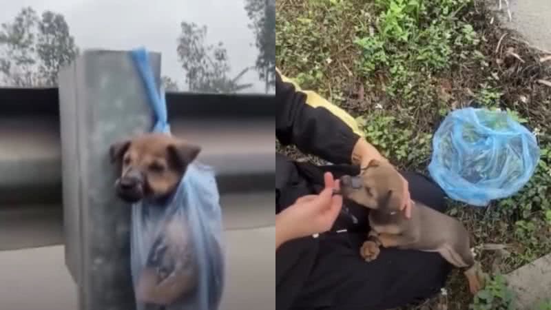 Reprodução/ Vídeo