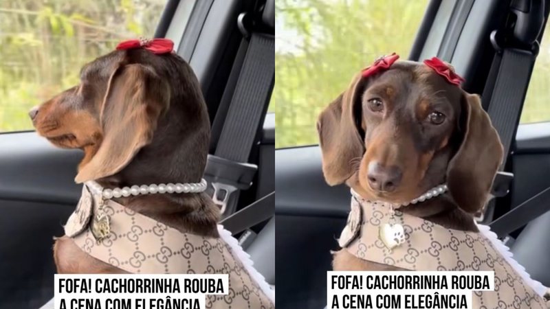 Reprodução/Video