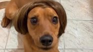 Reprodução / Redes Sociais