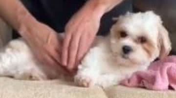 Reprodução/RedesSociais