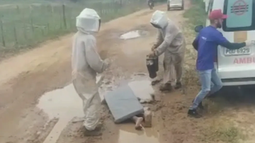 Reprodução / Vídeo