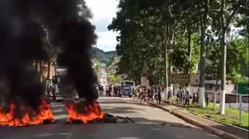 Reprodução