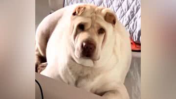 Reprodução/Instagram @hilaryswank