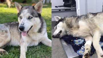 Reprodução/Instagram @hilaryswank