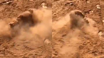 Reprodução/TikTok @betha_rodrigues_martins