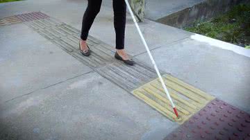 TV Brasil/ Reprodução