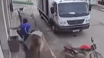 Reprodução/ Vídeo