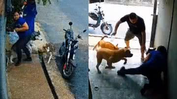 Reprodução/TikTok @mayarafreitas927