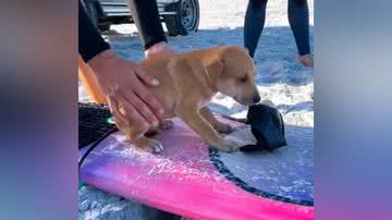 Reprodução/TikTok @marysurfs