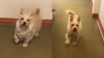 Reprodução/YouTube/Gerald Wakimoto