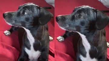 Reprodução/TikTok @mttox