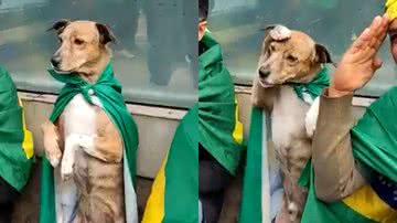 Reprodução/Twitter @RIC0_PINHEIR0