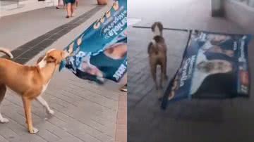 Reprodução/TikTok @amorzinhojuh/