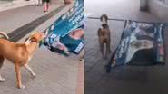 Reprodução/TikTok @amorzinhojuh/