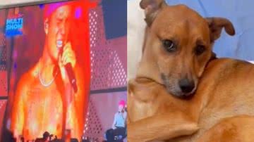 Reprodução/TikTok @mendsgabriele