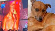 Reprodução/TikTok @mendsgabriele
