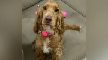 Reprodução/TikTok @nalathexplorer