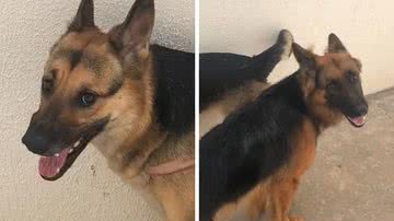 Reprodução/TikTok @dreewsyn