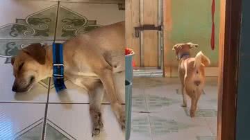 Reprodução/TikTok @mttox