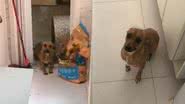 Reprodução/TikTok @nalakinderovo