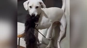 Reprodução/Instagram @thelminha