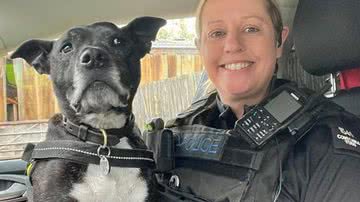 Reprodução/Twitter @BichinhosFB