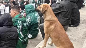 Reprodução/Twitter @nocontextfooty