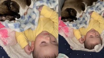 Reprodução / TikTok @mari_ponntes