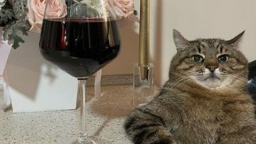 Reprodução / Instagram @loveyoustepan