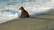 Reprodução / Redes Sociais