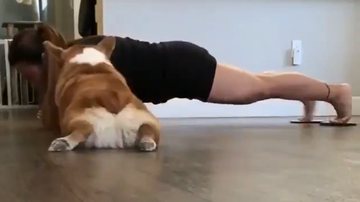 Reprodução / Twitter @PAVGOD