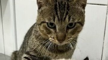 Reprodução / Redes Sociais