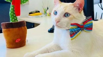 Reprodução / Redes Sociais
