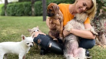 Reprodução / Instagram @ahickmann