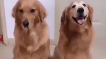 Reprodução / Twitter @rdaedua