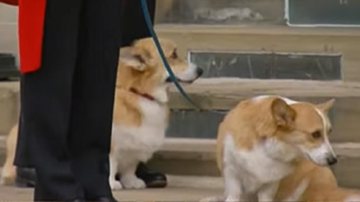 Reprodução / Instagram