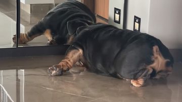 Reprodução / Instagram @gautamikapoor