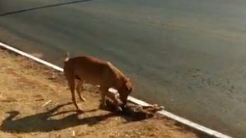 Arquivo pessoal/Élbio Fernandes