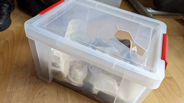 Divulgação / Royal Society for the Prevention of Cruelty to Animals