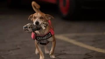 Foto: Instagram/ @caramelobombeiro/ Reprodução