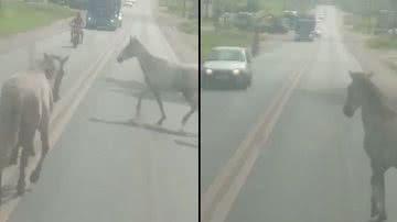 Reprodução/ Vídeo