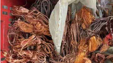 Polícia CIvil/Divulgação