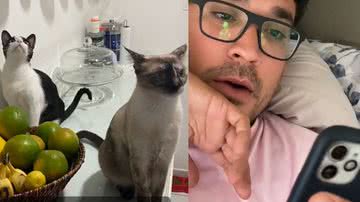 Reprodução/TikTok @xaneejerome