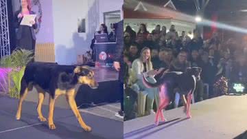 Reprodução/TikTok @danieli.weber