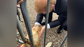 Reprodução/Twitter @SarahGracie