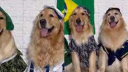 Montagem/BNews